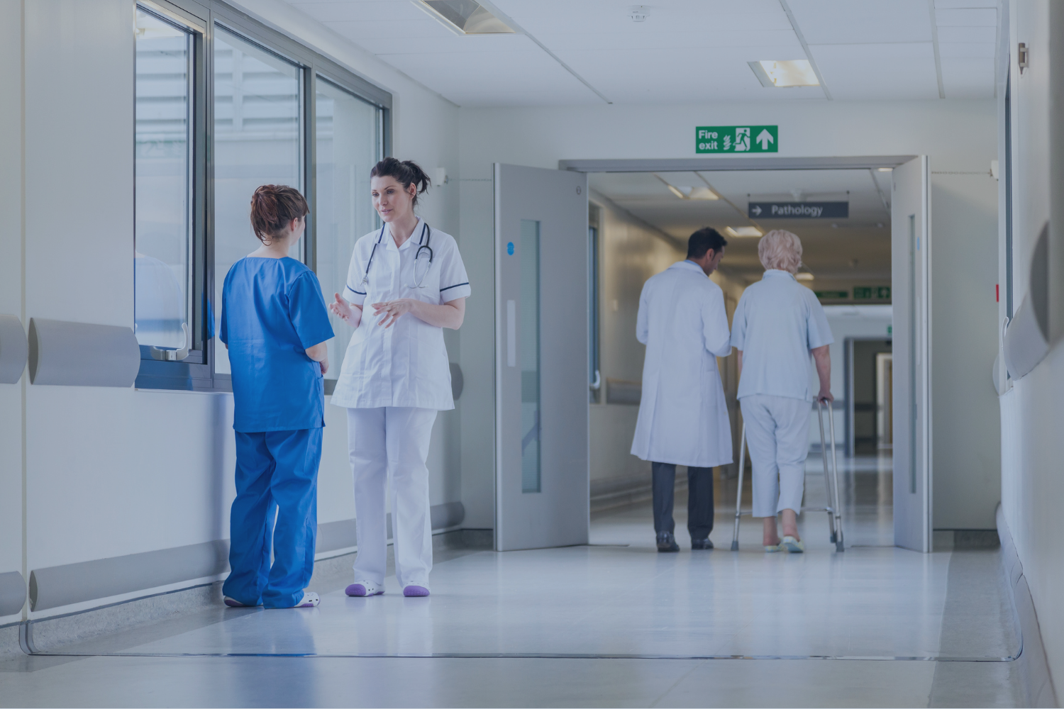 Case studies homepage images